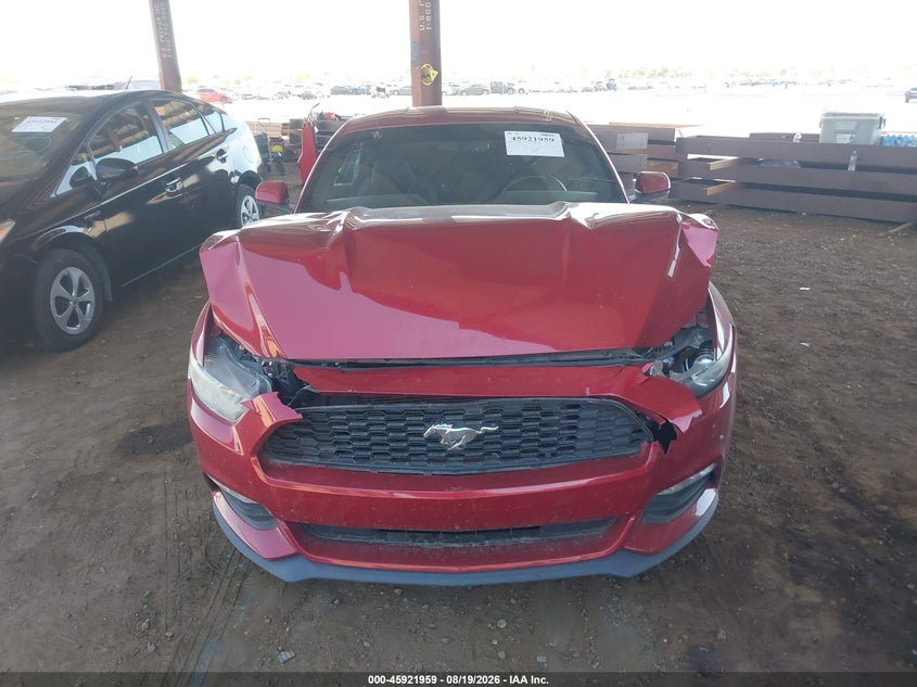 FORD MUSTANG - zdjęcie 12