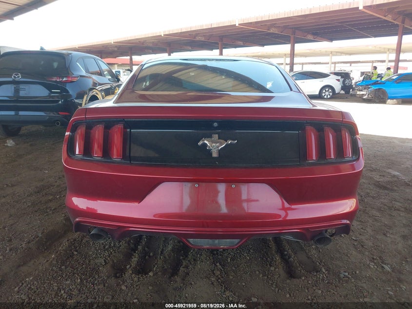 FORD MUSTANG - zdjęcie 16