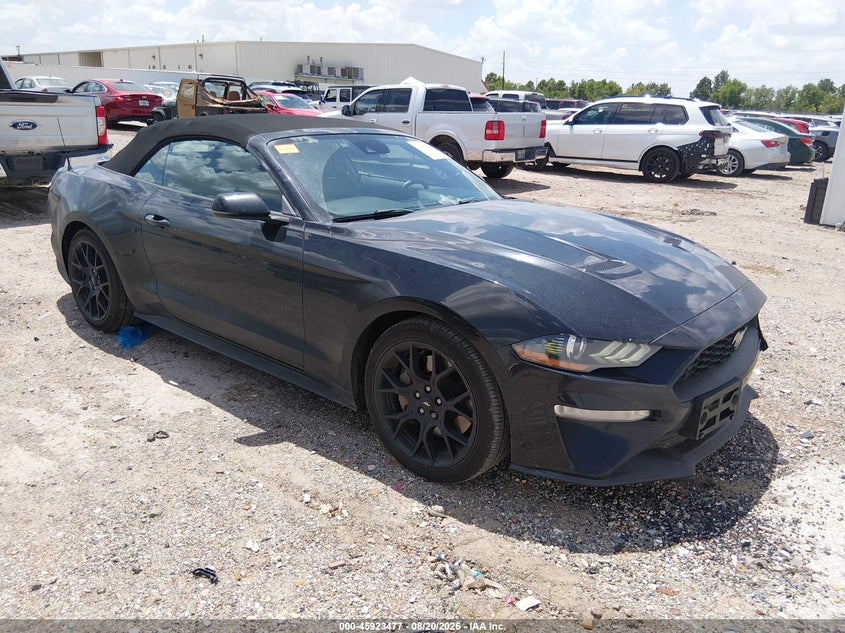 FORD MUSTANG - zdjęcie 1