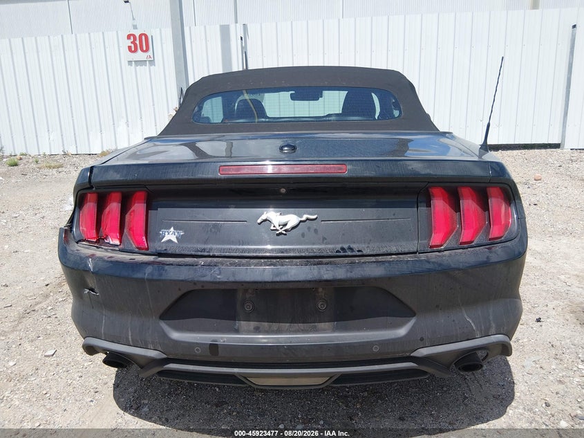 FORD MUSTANG - zdjęcie 16