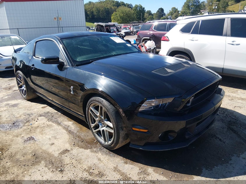 Vin: 1zvbp8jz4d5231618, lot: 46422916, ford shelby gt500 2013 img_1