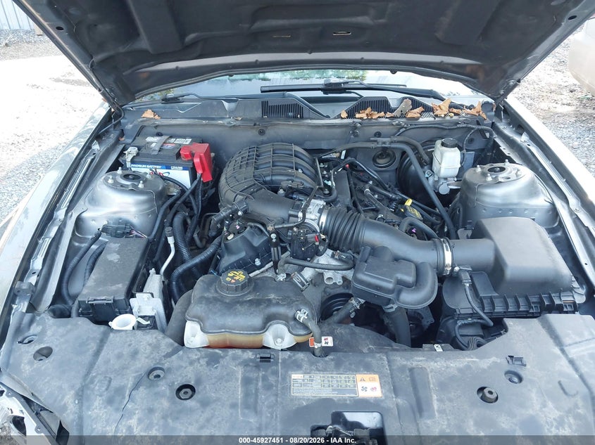 FORD MUSTANG 2013 VIN 1ZVBP8AMXD5273313