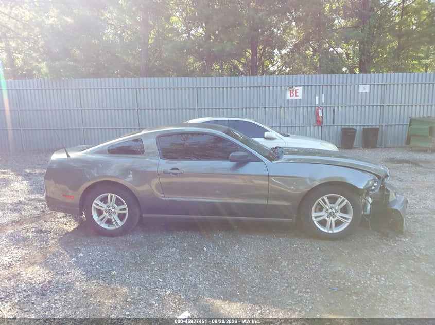 FORD MUSTANG 2013 VIN 1ZVBP8AMXD5273313
