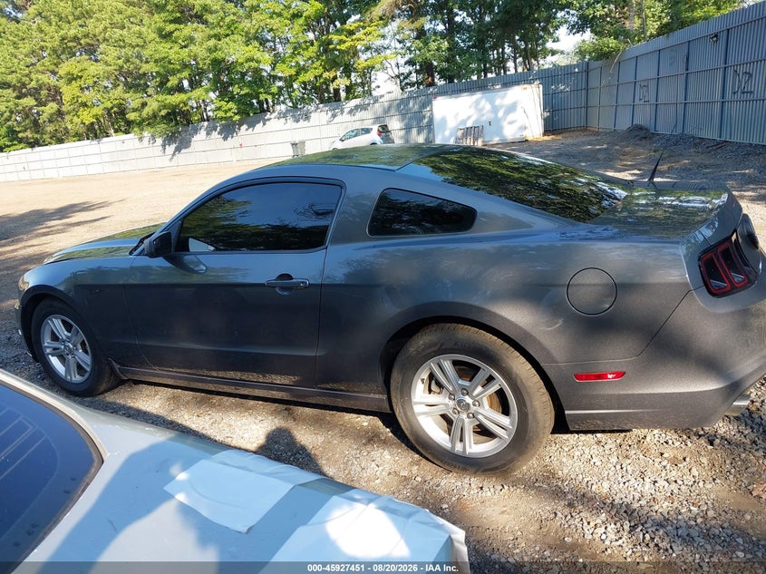 FORD MUSTANG 2013 VIN 1ZVBP8AMXD5273313