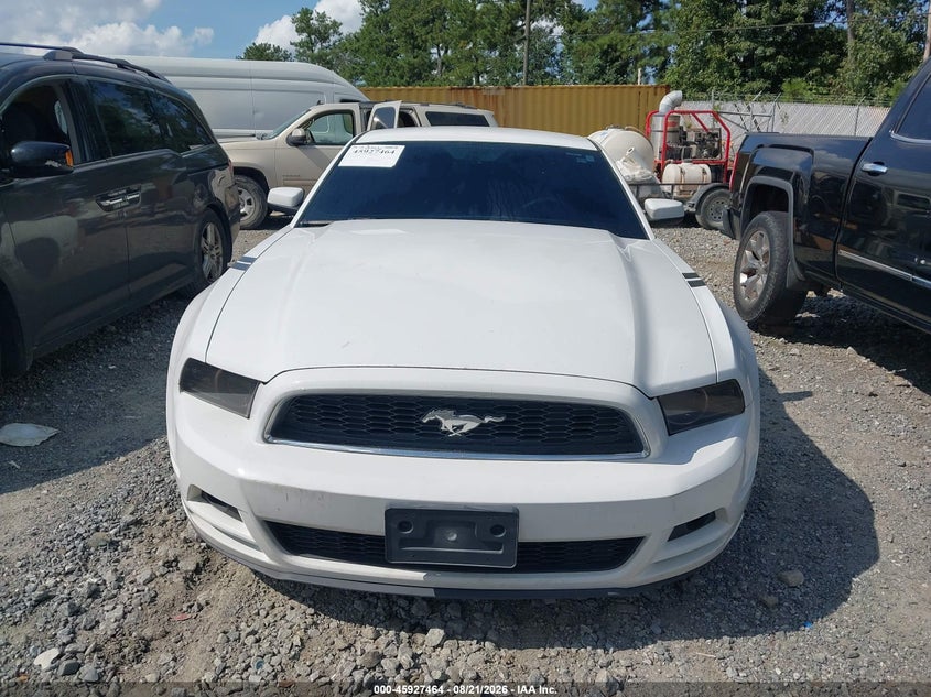 FORD MUSTANG 2014 VIN 1ZVBP8AM6E5315784