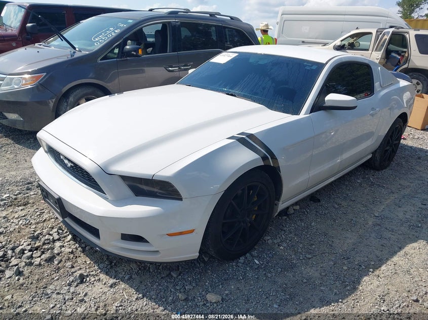 FORD MUSTANG 2014 VIN 1ZVBP8AM6E5315784