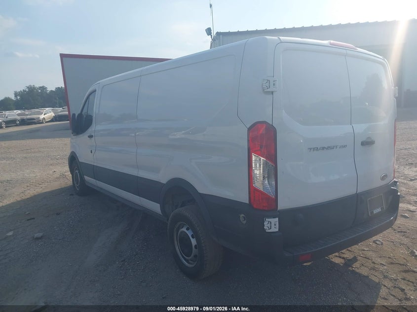 2024 FORD TRANSIT-250 — zdjęcie 3