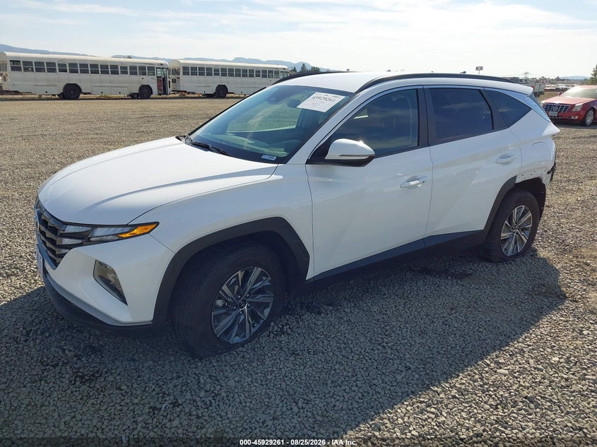 2022 Hyundai Tucson, Rear, IAAI, VIN KM8JBCA12NU022374 — photo 2