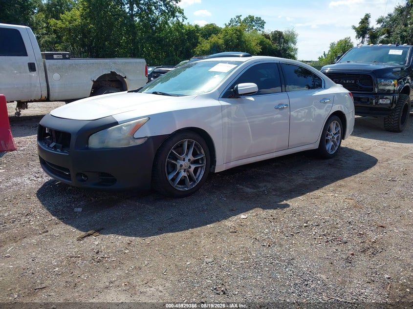 NISSAN MAXIMA 2009 VIN 1N4AA51E79C841596