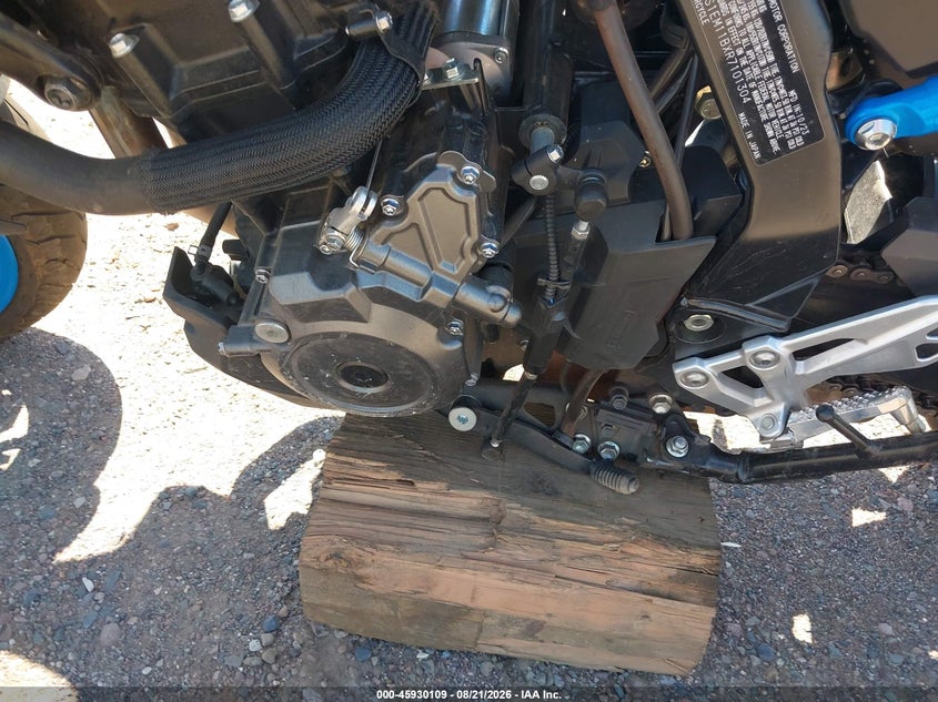 SUZUKI GSX800 2024