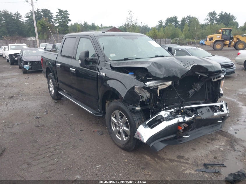 Vin: 1ftew1eg6jfe53490, lot: 46431003, ford f-150 xlt 2018 img_1