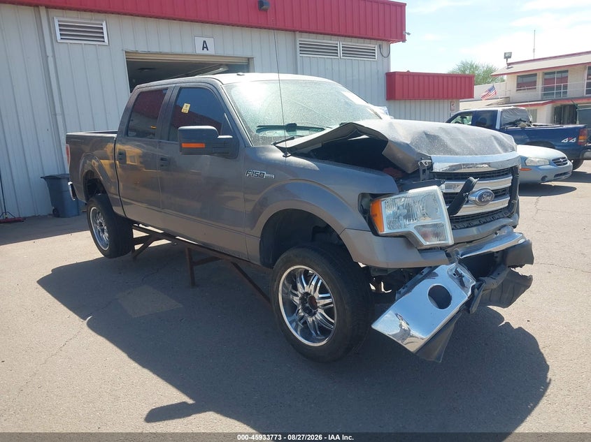 Vin: 1ftew1cmxdkg31647, lot: 46432898, ford f-150 xlt 2013 img_1