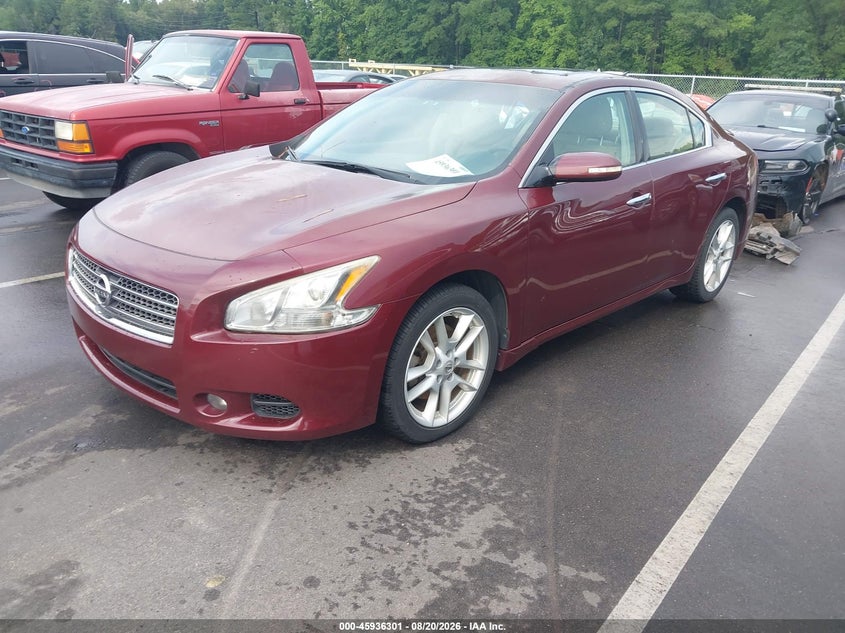2010 Nissan Maxima, Обычный износ, IAAI, VIN 1N4AA5AP6AC862283 — фото 2