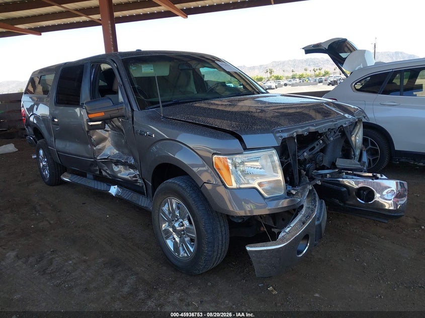 Vin: 1ftfw1cv2afd67129, lot: 46435894, ford f-150 fx2 sport/harley-davidson/king ranch/lariat/platinum/xl/xlt 2010 img_1