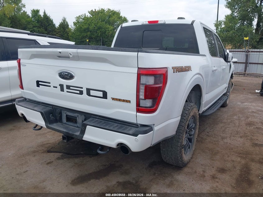 Vin: 1ftew1e83pfb07317, lot: 46438730, ford f-150 tremor 20234