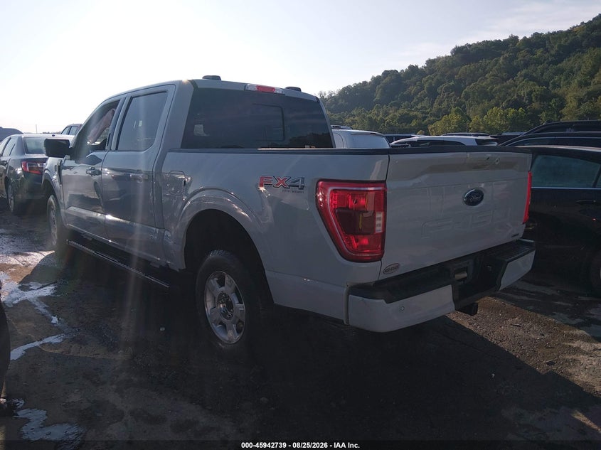 2023 FORD F-150 XLT · Фото 3