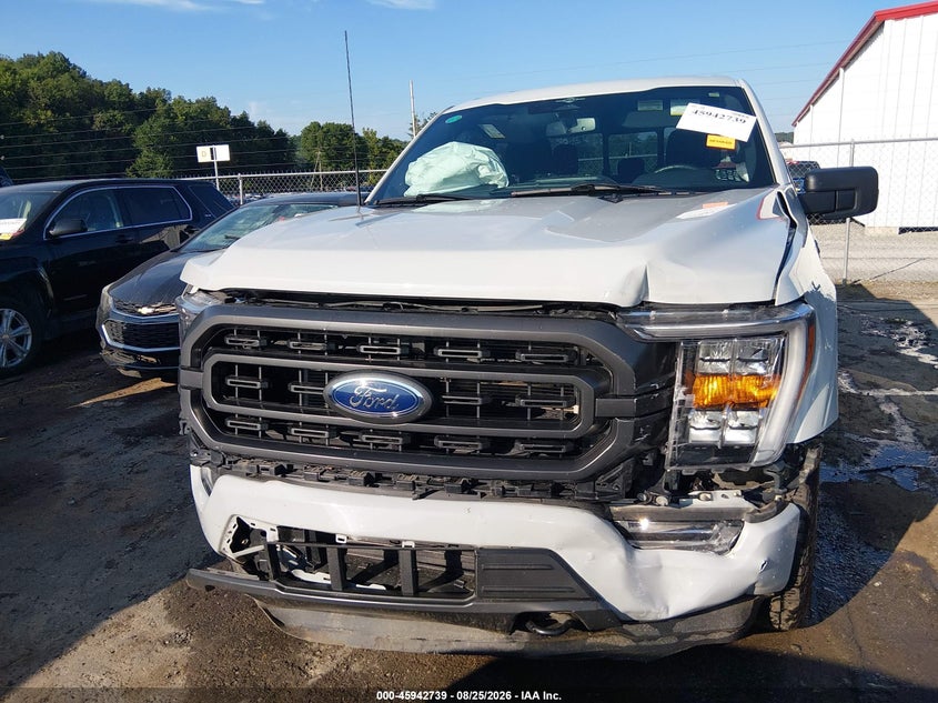 2023 FORD F-150 XLT · Фото 6