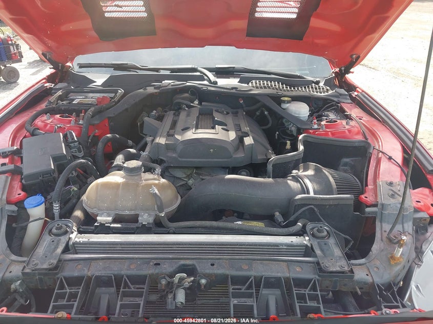 FORD MUSTANG - zdjęcie 10