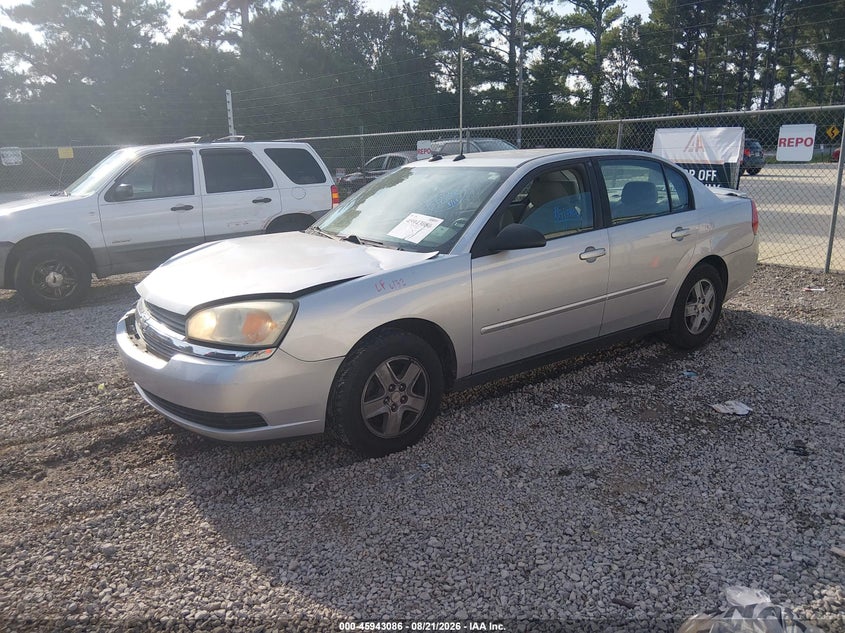 2005 Chevrolet Malibu, По колу, IAAI, VIN 1G1ZT54825F177173 — фото 2