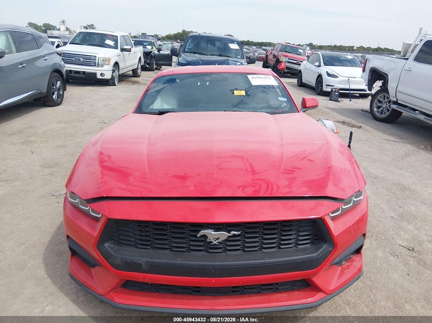 FORD MUSTANG - zdjęcie 11