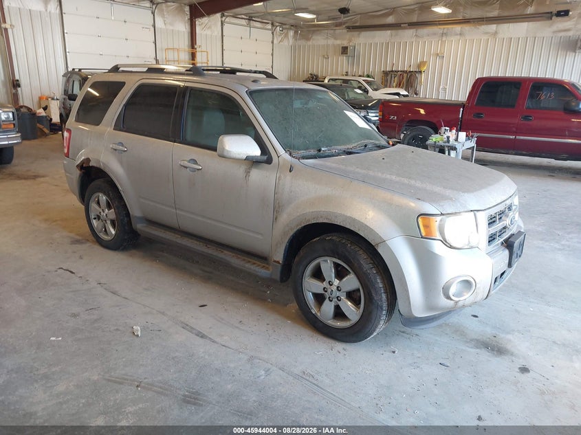 2010 FORD ESCAPE auction photo 1