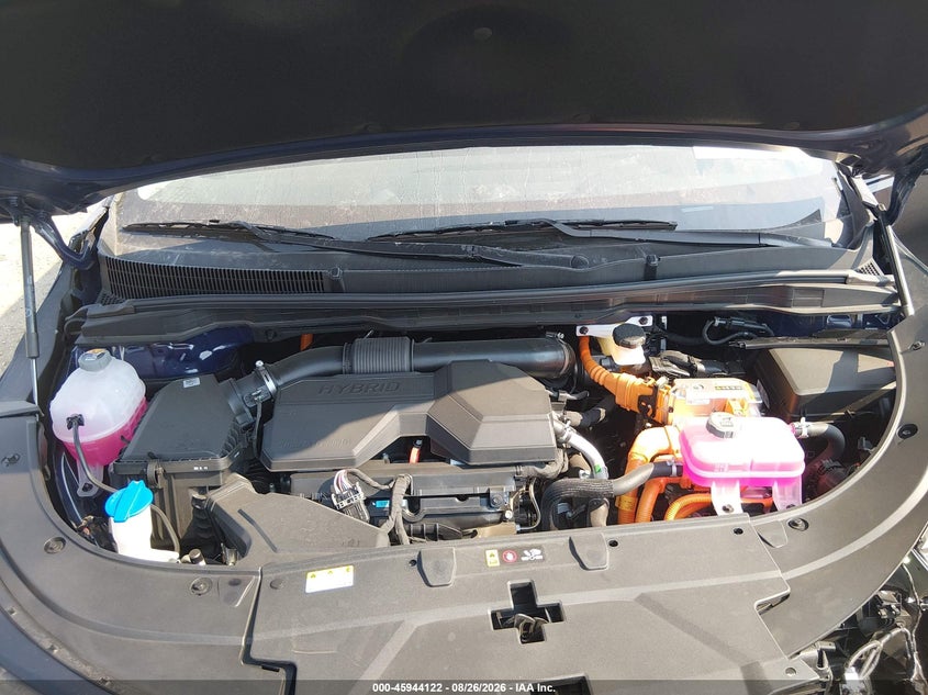 KIA CARNIVAL HYBRID