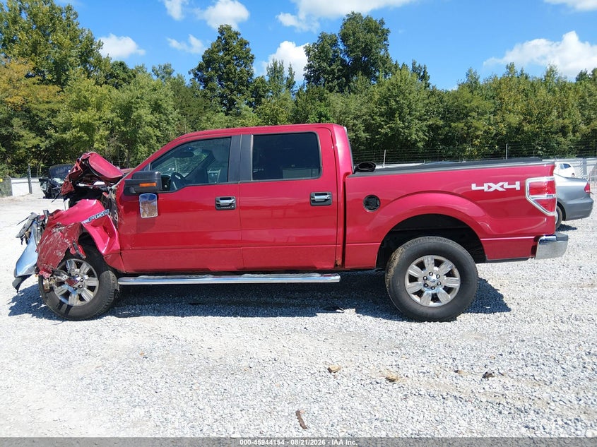 FORD F-150 2010 VIN 1FTFW1EV3AFD39398