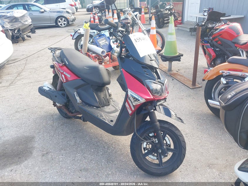 2024 Zhilong Bws