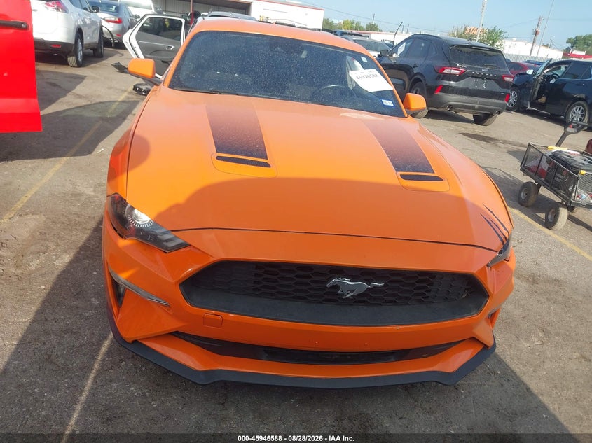 FORD MUSTANG - zdjęcie 12