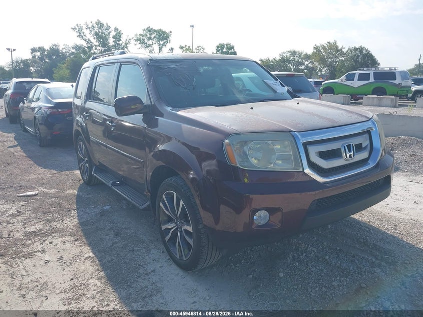 Vin: 5fnyf4h5xbb091680, lot: 46445986, honda pilot ex-l 2011 img_1
