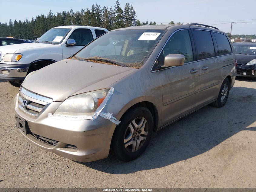 2005 HONDA ODYSSEY auction photo 2