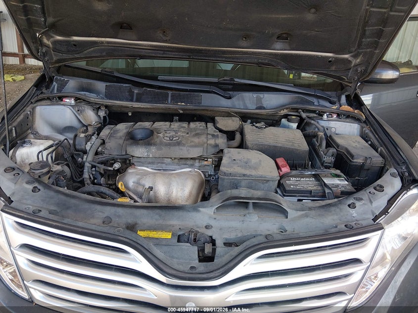 TOYOTA VENZA 2010 VIN 4T3ZA3BB7AU032557