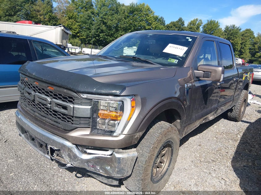 2021 Ford F-150, Удар ззаду, IAAI, VIN 1FTFW1E89MFC24464 — фото 2