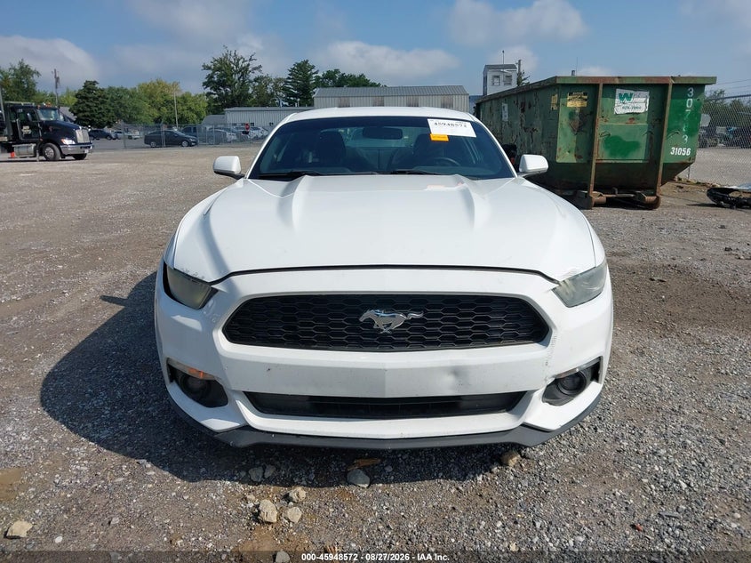FORD MUSTANG - zdjęcie 13
