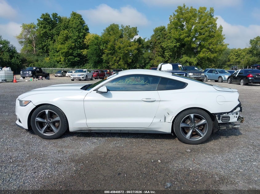 FORD MUSTANG - zdjęcie 15