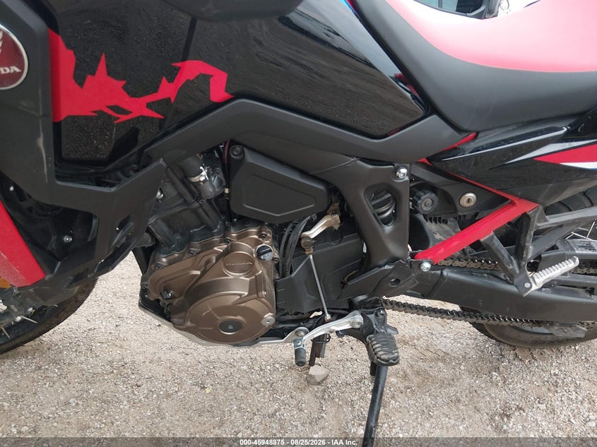 HONDA CRF1000 2024