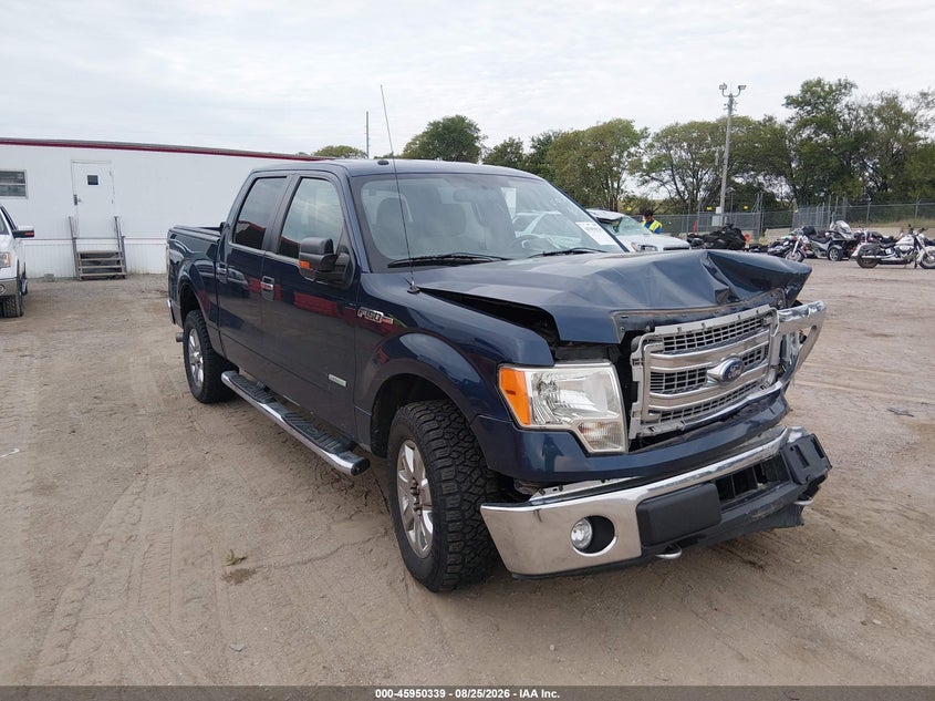 Vin: 1ftfw1et1efb84953, lot: 46449553, ford f-150 xlt 2014 img_1