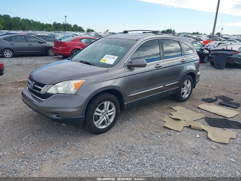 2010 Honda CR-V, Удар ззаду, IAAI, VIN 5J6RE4H72AL034369 — фото 2