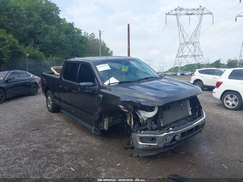 2024 FORD F-150 auction photo 1