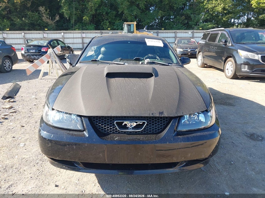 FORD MUSTANG 2002 VIN 1FAFP42X42F132840