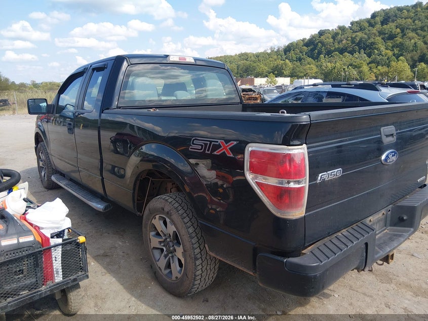 2014 FORD F-150 auction photo 3