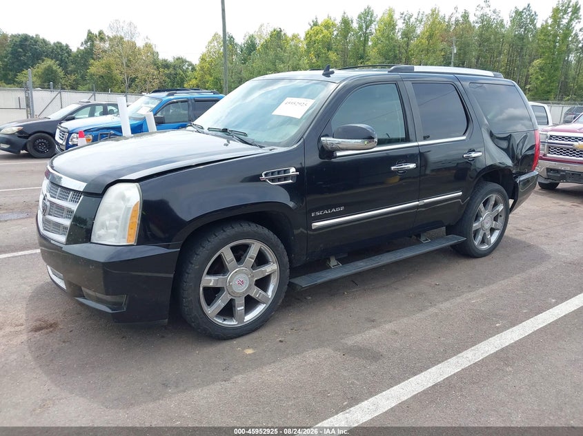 2010 Cadillac Escalade, Left Rear, IAAI, VIN 1GYUKDEF7AR185445 — photo 2
