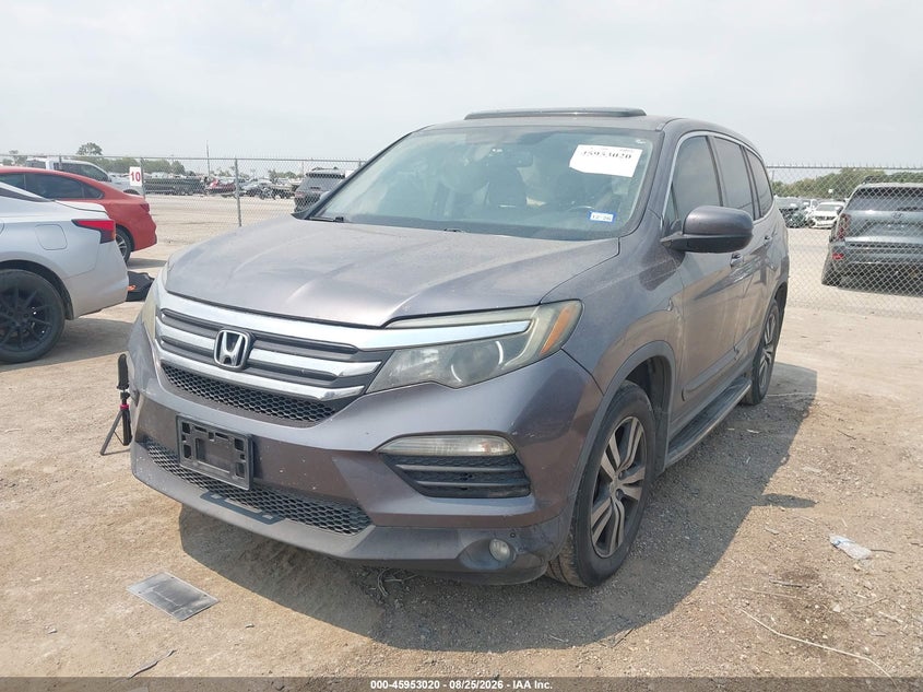 2016 Honda Pilot, Правый бок, IAAI, VIN 5FNYF5H58GB029675 — фото 2