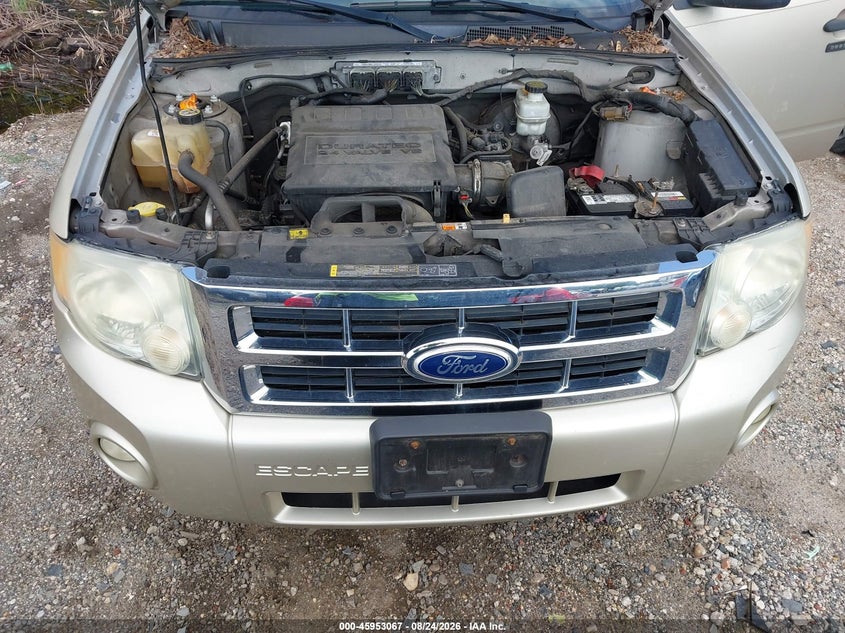 FORD ESCAPE 2011 VIN 1FMCU0DG3BKA19881