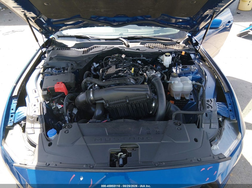 FORD MUSTANG - zdjęcie 10