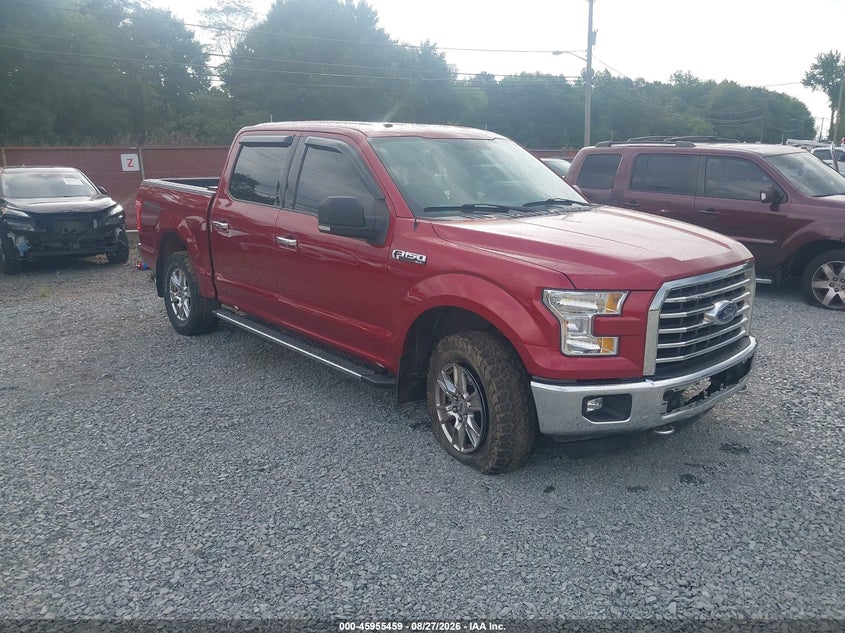 Vin: 1ftew1efxffc44185, lot: 46454673, ford f-150 xlt 20151