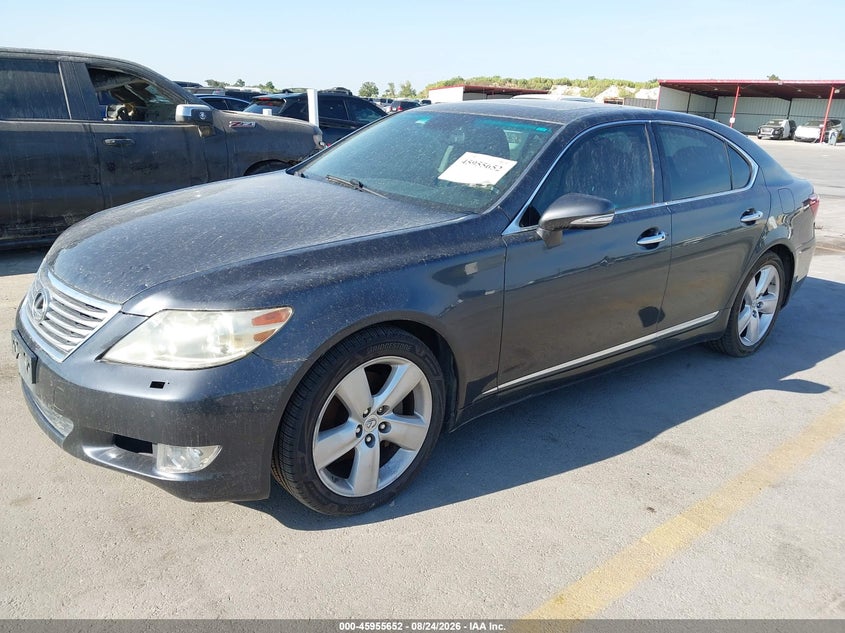 2010 LEXUS LS 460 auction photo 2