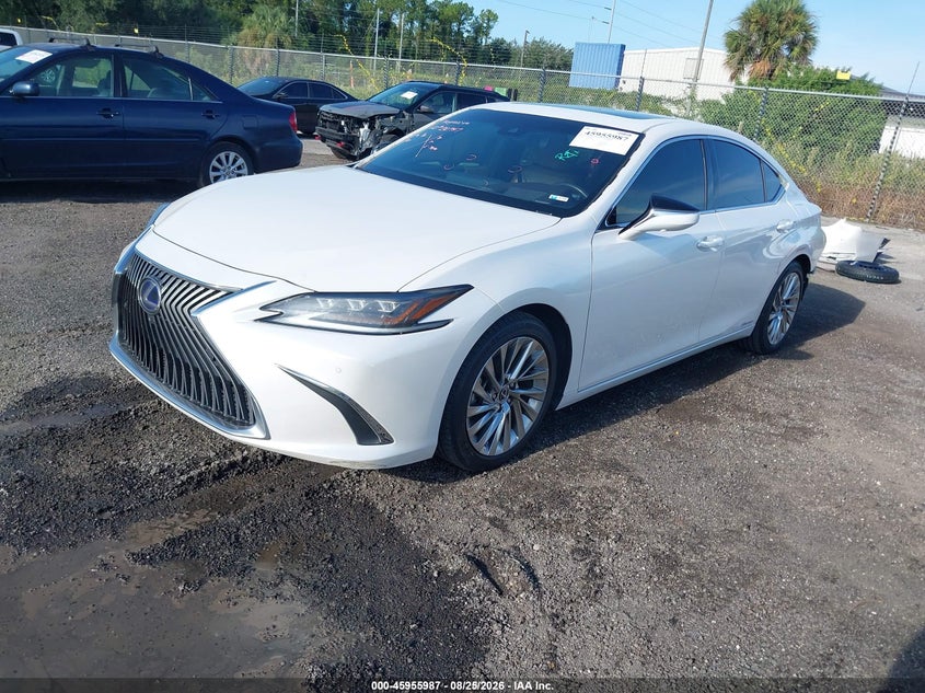2021 Lexus ES, Удар сзади, IAAI, VIN 58AFA1C11MU003056 — фото 2