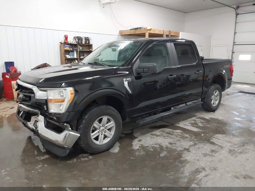 Vin: 1ftew1eb8mfc53350, lot: 46455404, ford f-150 xlt 20212