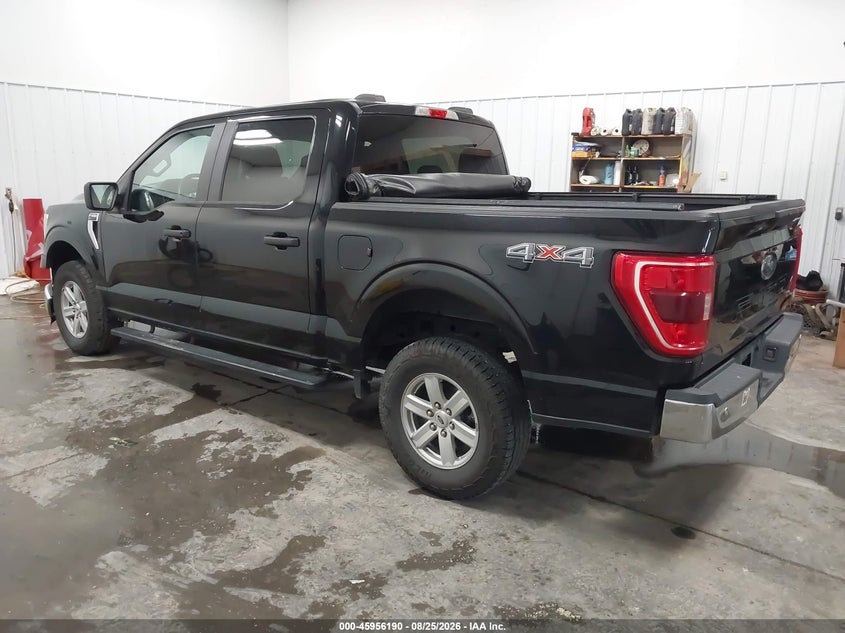 Vin: 1ftew1eb8mfc53350, lot: 46455404, ford f-150 xlt 20213